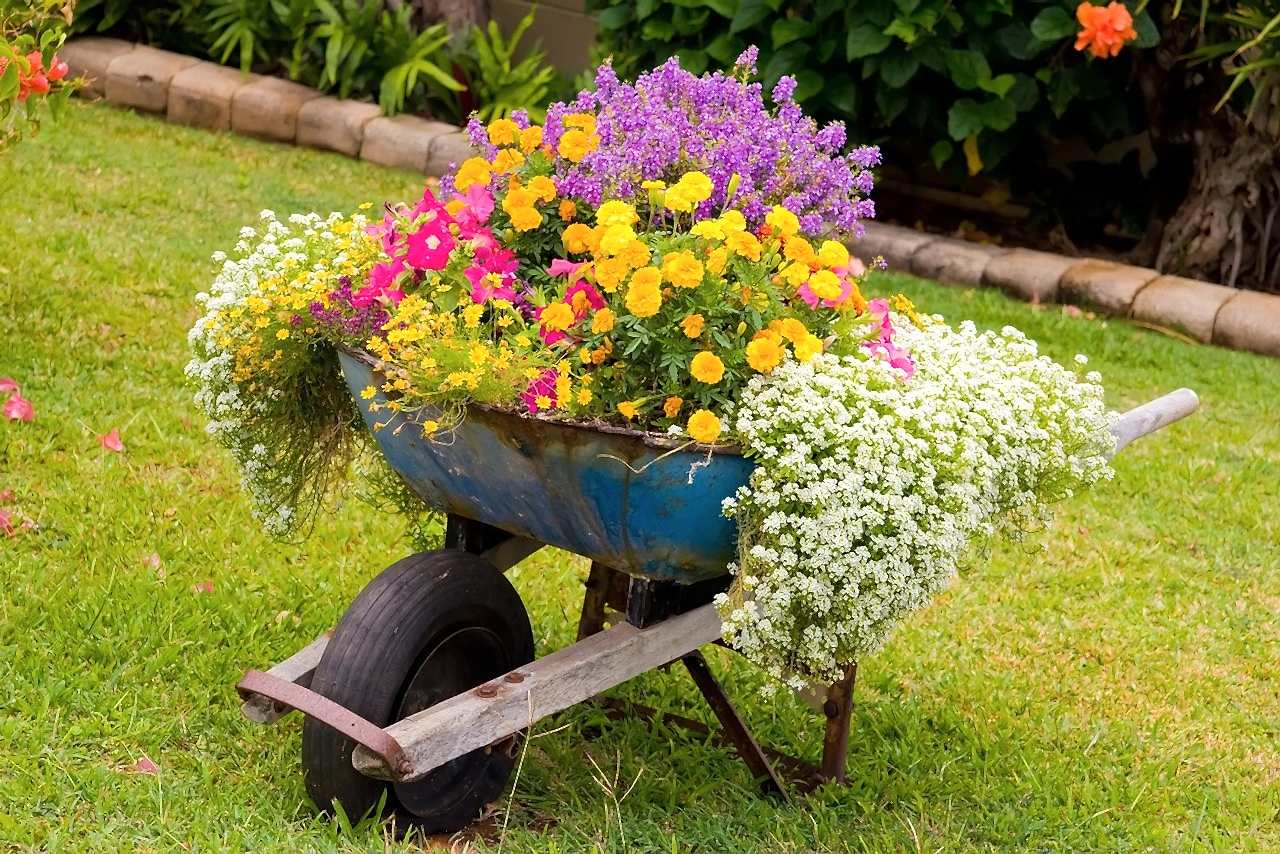 Bahçe Bitkilendirme