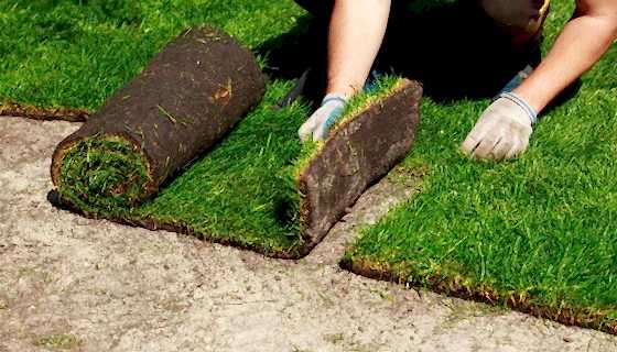 Cunda Otel Peyzaj Tasarımı